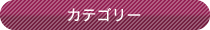 カテゴリー